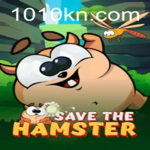 Exploring SavetheHamster: An Engaging Game Experience